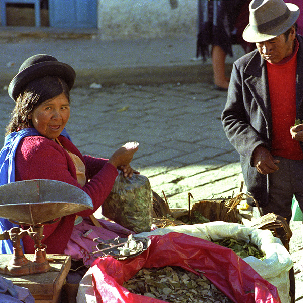 Vendeuse de coca, Potosi, Bolivie