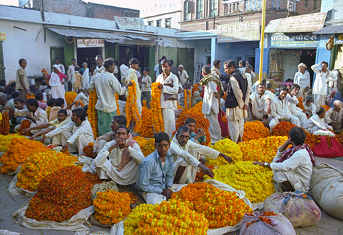 Vendeurs de colliers de fleurs, Varanasi, Inde