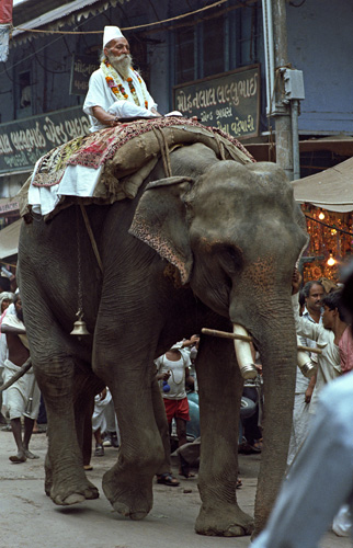 Prtre sur son lphant, Varanasi, Inde