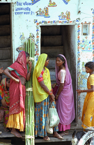 Belles d'Udaipur, Rajasthan, Inde