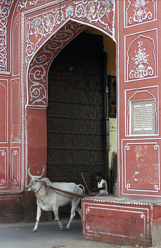Grande porte, Jaipur, Rajasthan, Inde