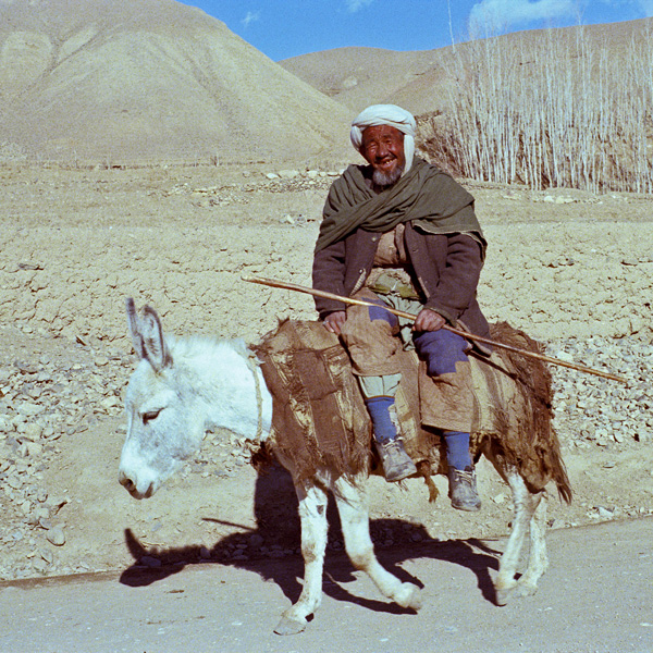 Paysan, Bamiyan, Afghanistan