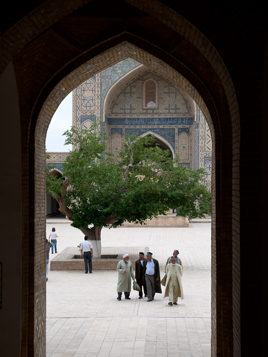 Le vieux mrier, cour de la mosque Kalyan, Boukhara, Ouzbkistan