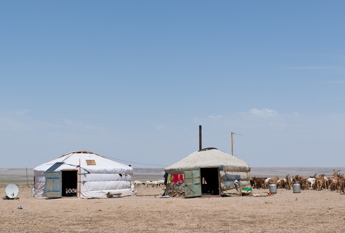 Camp de bergers nomades, dsert de Gobi, Mongolie