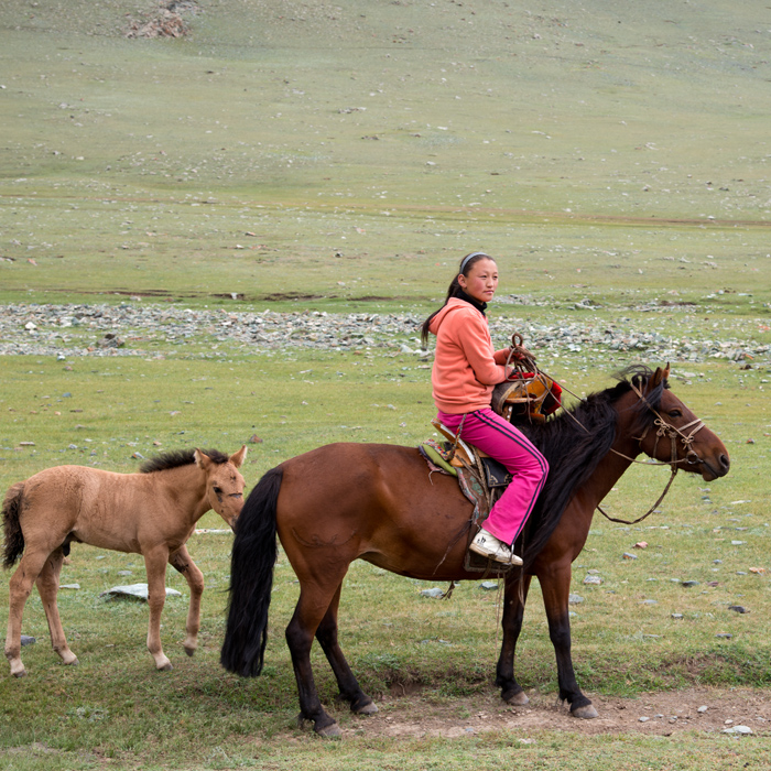 Jeune cavalire, montagnes du nord-ouest de la Mongolie