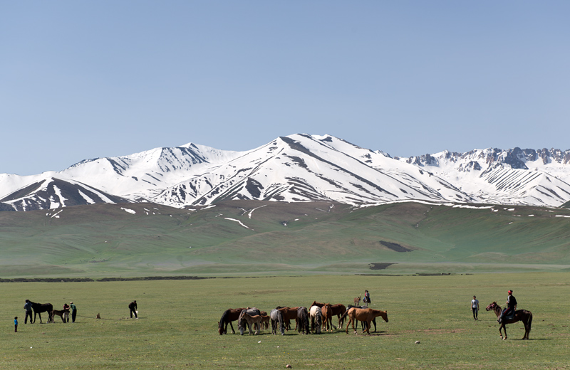 Nomades et levage de chevaux, route M41, versant nord du col Alabel, Kirghizistan