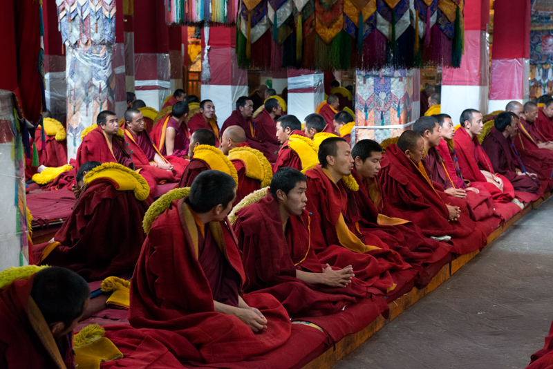 Mditation, monastre de Drepung, Lhassa, Tibet, Chine