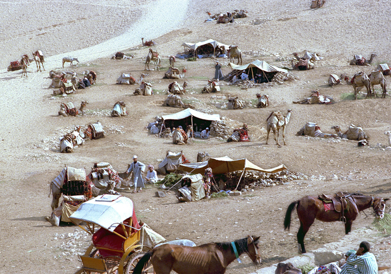 Chameliers et muletiers, pyramides de Gizeh, Egypte