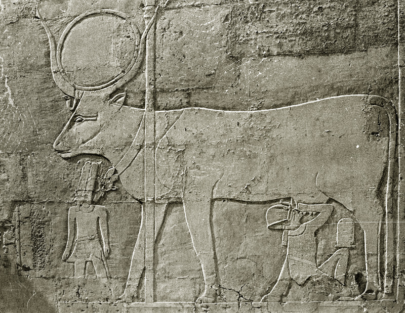 La desse Hathor nourissant la reine Hatchepsout, temple de Deir el Bahari, Louxor, Egypte