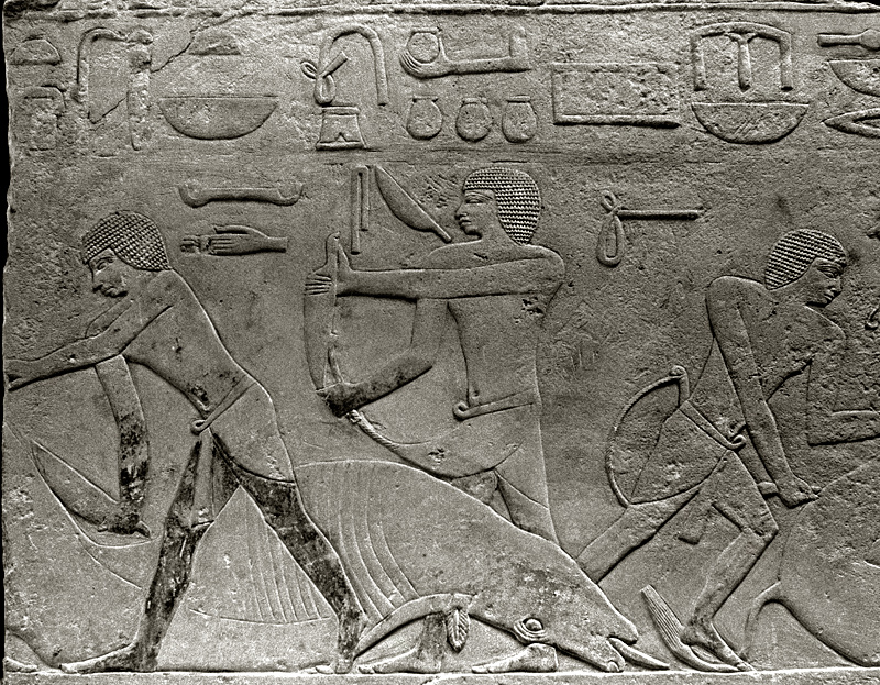 Bas-relief de scne de boucherie, Saqqarah, Egypte