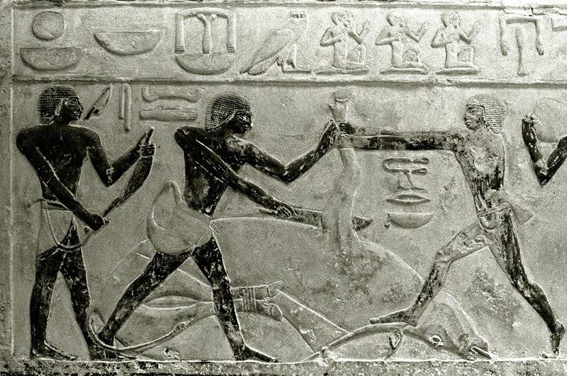 Scne de boucherie, tombe d'Idout, Saqqarah, Egypte