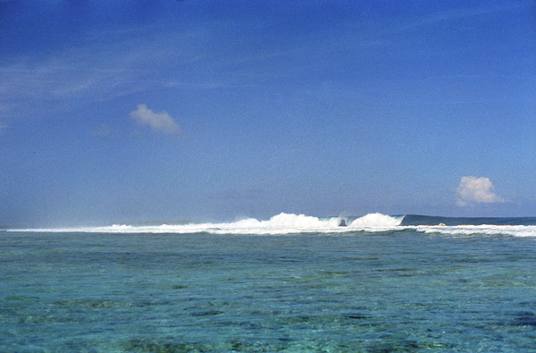 Le rcif extrieur, atoll de Palmerston