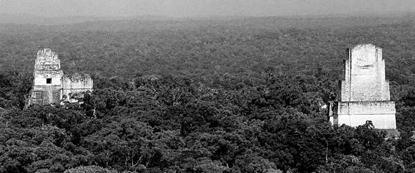 La cit de Tikal dans la jungle de Petn, Guatemala