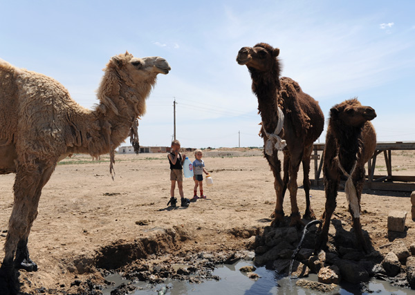 Enfants avec chameaux, plateau de Ustyurt, Ouzbkistan